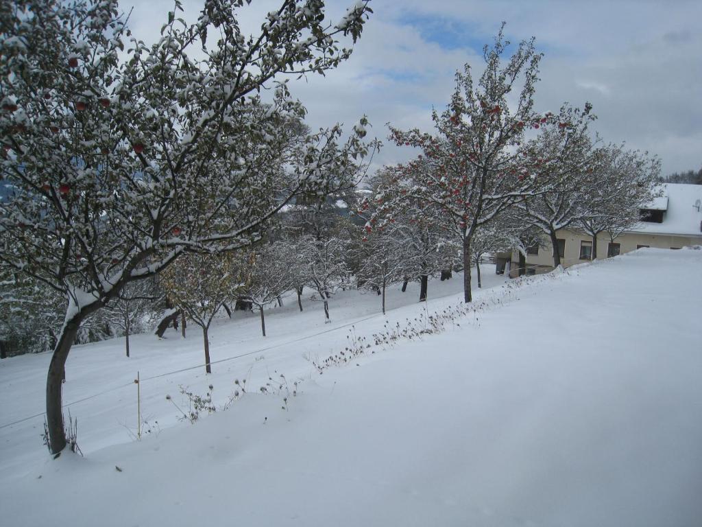Wachahof Villa Edlitz Luaran gambar