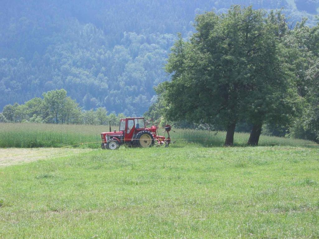Wachahof Villa Edlitz Luaran gambar