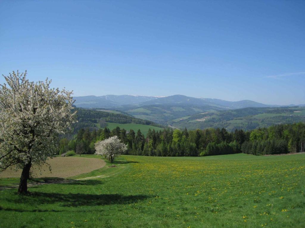 Wachahof Villa Edlitz Luaran gambar